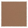 Brown 03