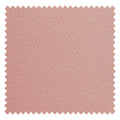 Dreamy Pink 55