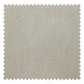 Apricot 09